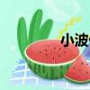小波仔（關于小波仔簡介）