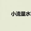 小流量水泵（關于小流量水泵簡介）