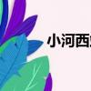 小河西站（關于小河西站簡介）
