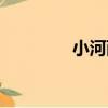 小河西（關于小河西簡介）