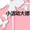 小活動大德育（關于小活動大德育簡介）