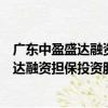 廣東中盈盛達融資擔保投資股份有限公司（關于廣東中盈盛達融資擔保投資股份有限公司介紹）
