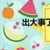 出大事了（關于出大事了的簡介）