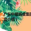 廣東中順紙業集團有限公司（關于廣東中順紙業集團有限公司介紹）
