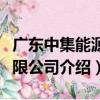 廣東中集能源有限公司（關于廣東中集能源有限公司介紹）