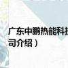 廣東中鵬熱能科技有限公司（關于廣東中鵬熱能科技有限公司介紹）