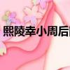 熙陵幸小周后圖真跡原畫(熙陵幸小周后圖)