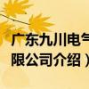 廣東九川電氣有限公司（關于廣東九川電氣有限公司介紹）