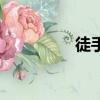 徒手（關于徒手的簡介）