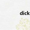 dicks（關于dicks的簡介）