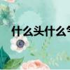 什么頭什么氣四字詞語?(什么頭什么氣)