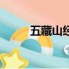 五藏山經是什么意思（五藏山經）