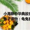 小海豚中華典故親子讀物：龜兔賽跑（關于小海豚中華典故親子讀物：龜兔賽跑簡介）