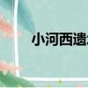 小河西遺址（關于小河西遺址簡介）