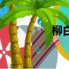 柳白（關于柳白的簡介）