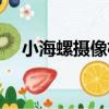 小海螺攝像機（關于小海螺攝像機簡介）