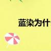 藍染為什么死不了（藍染怎么死的）