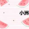 小洲村（關于小洲村簡介）
