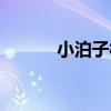 小泊子村（關于小泊子村簡介）