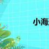 小海盜（關于小海盜簡介）
