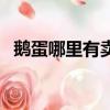 鵝蛋哪里有賣的河南鶴壁（鵝蛋哪里有賣）