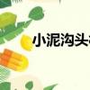 小泥溝頭村（關于小泥溝頭村簡介）
