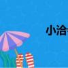 小洽會（關于小洽會簡介）