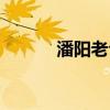 潘陽老公是哪里人（潘陽老公）
