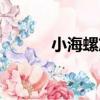 小海螺篇（關于小海螺篇簡介）