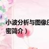 小波分析與圖像壓縮及加密（關于小波分析與圖像壓縮及加密簡介）