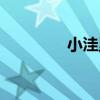 小洼里（關于小洼里簡介）