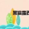 黑貓露西（關于黑貓露西的簡介）
