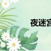 夜迷宮（關于夜迷宮的簡介）