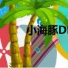 小海豚DM（關于小海豚DM簡介）