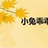 小兔乖乖（關于小兔乖乖的簡介）