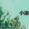 小油桐（關于小油桐簡介）