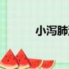 小瀉肺湯（關于小瀉肺湯簡介）