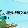 小波分析與文本文字識別（關于小波分析與文本文字識別簡介）