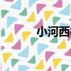 小河西村（關于小河西村簡介）