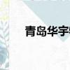 青島華宇物流公司（青島華宇物流）