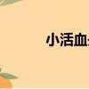 小活血丹（關于小活血丹簡介）