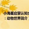 小海星啟蒙認知全書：動物世界（關于小海星啟蒙認知全書：動物世界簡介）