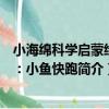 小海綿科學啟蒙繪本：小魚快跑（關于小海綿科學啟蒙繪本：小魚快跑簡介）