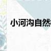 小河溝自然村（關于小河溝自然村簡介）