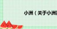 小洲(關于小洲簡介)