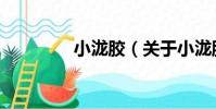 小瀧膠(關于小瀧膠簡介)