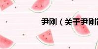 尹剛(關于尹剛簡介)
