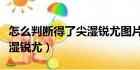 怎么判斷得了尖濕銳尤圖片(怎么判斷得了尖濕銳尤)