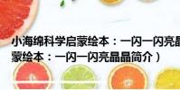 小海綿科學啟蒙繪本:一閃一閃亮晶晶(關于小海綿科學啟蒙繪本:一閃一閃亮晶晶簡介)
