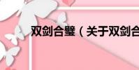 雙劍合璧(關于雙劍合璧的簡介)